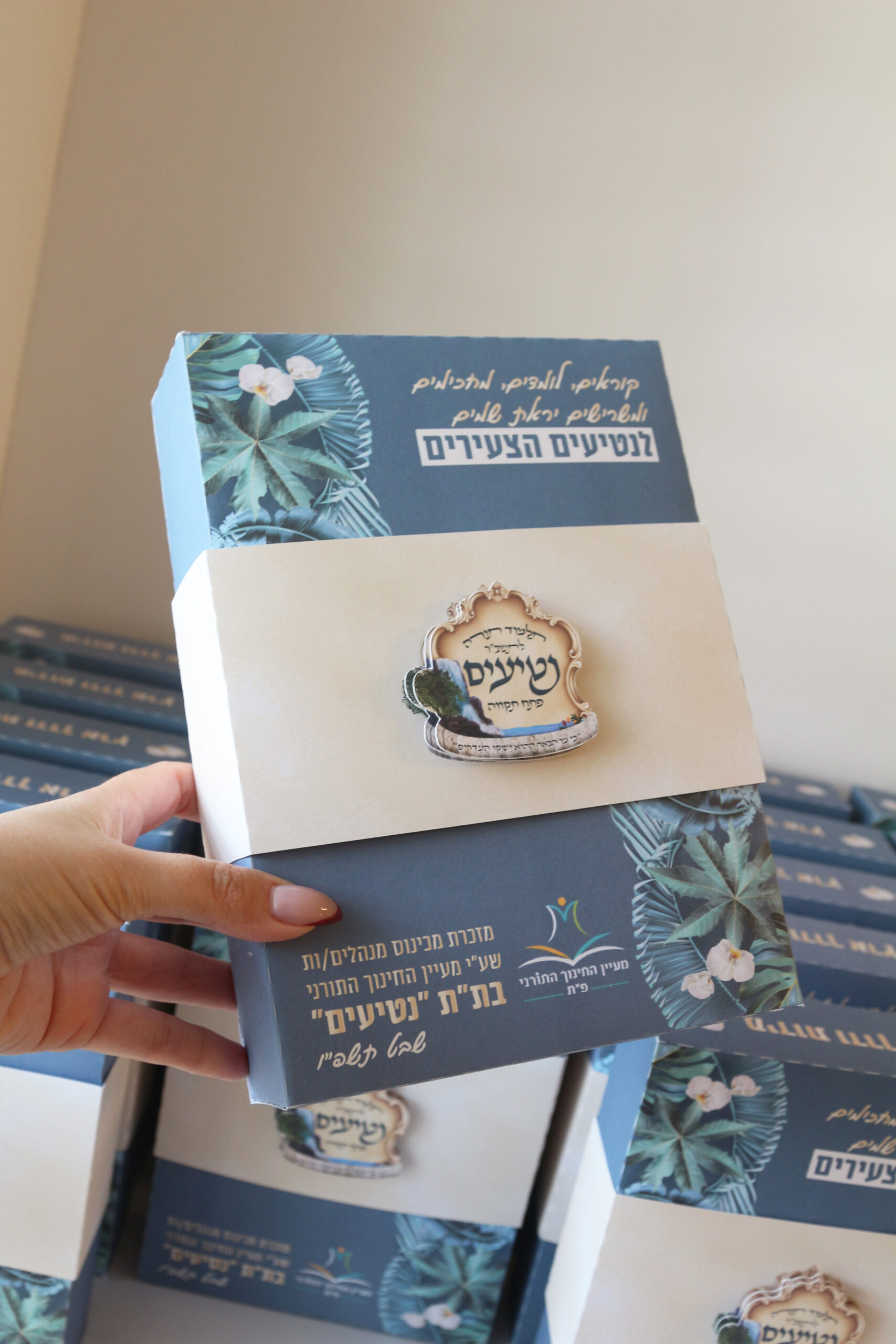 פריסת מארז שולחן – תמונה 3